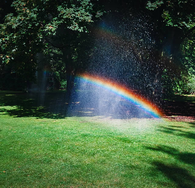 Sprinkler Repair