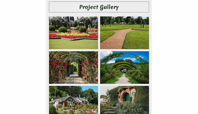 Responsive Professional Web Template