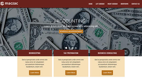 Accounting Firm Responsive Website Template